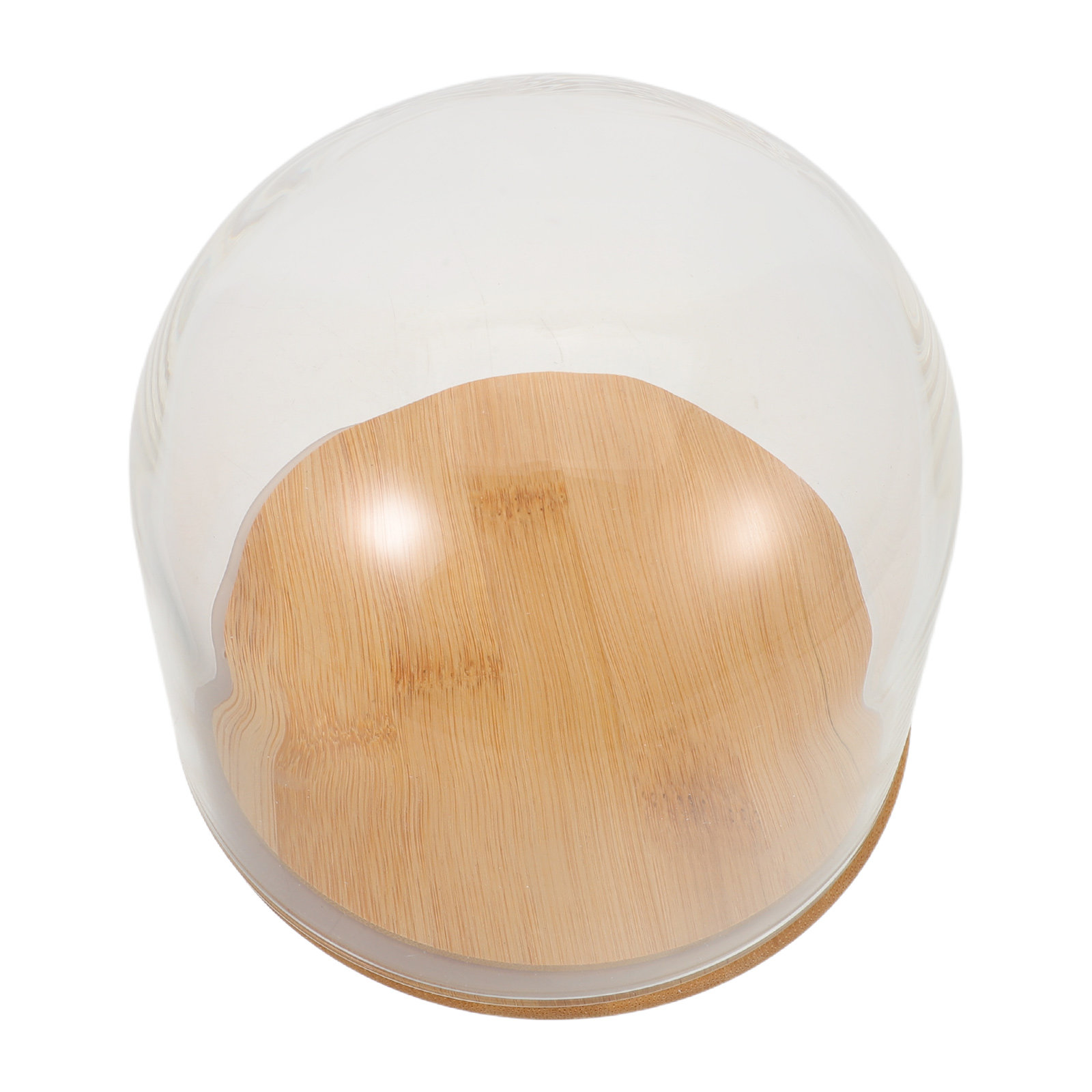 Plastic Dome Clear - Transparante glazen koepel met een afgesloten