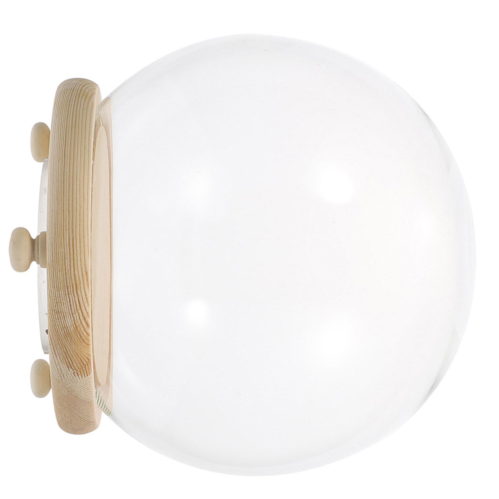 Gepreserveerde bloem glazen ko - Plastic Dome Clear recensie en prijs