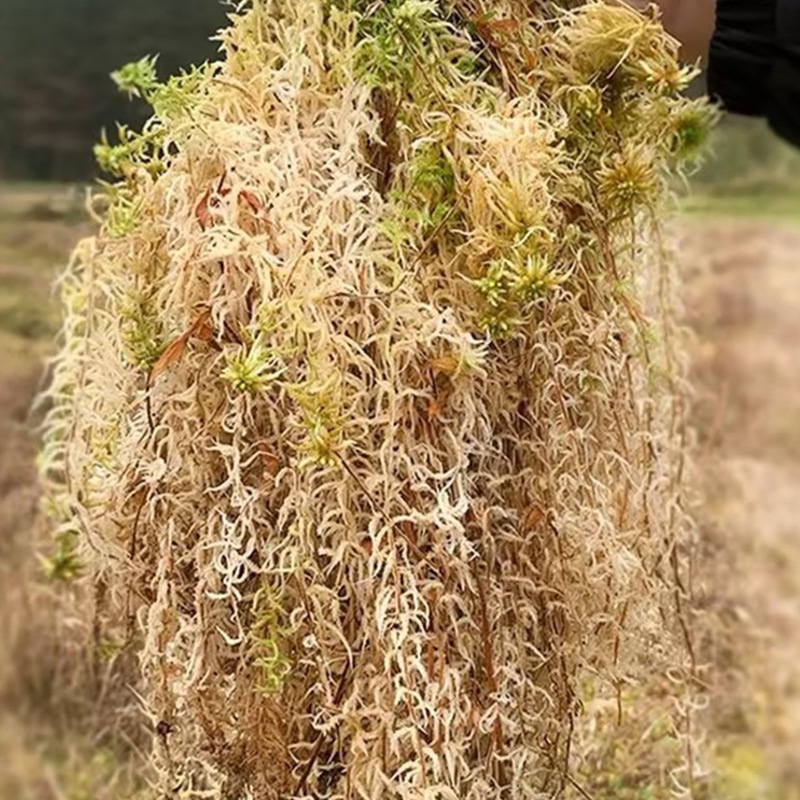 Reptielterrarium Sphagnummos S - Sphagnum Moss Dry recensie en prijs