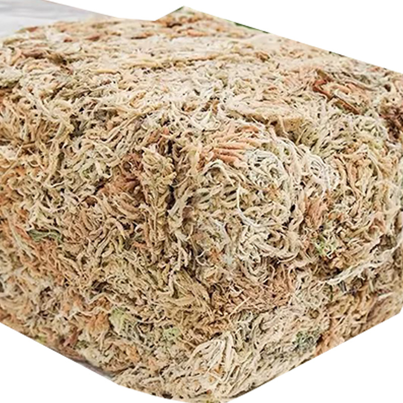 Reptielterrarium Sphagnummos S - Sphagnum Moss Dry recensie en prijs