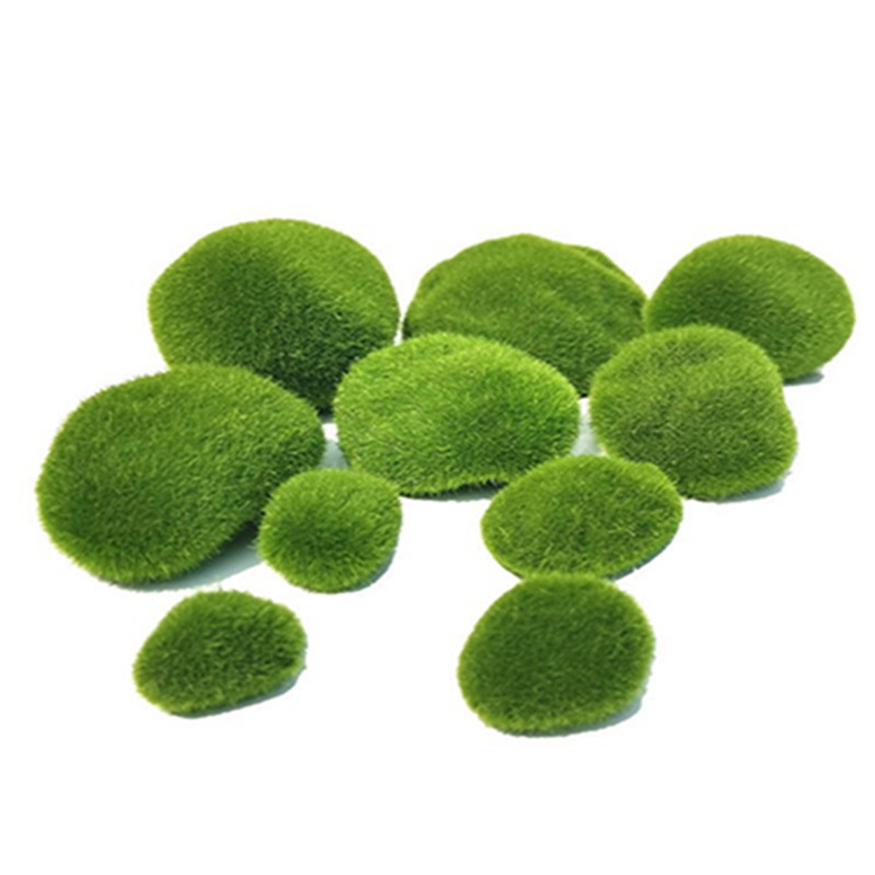 5 Stuks 3-12 Cm Groene Kunstma - Sphagnum Moss Dry recensie en prijs